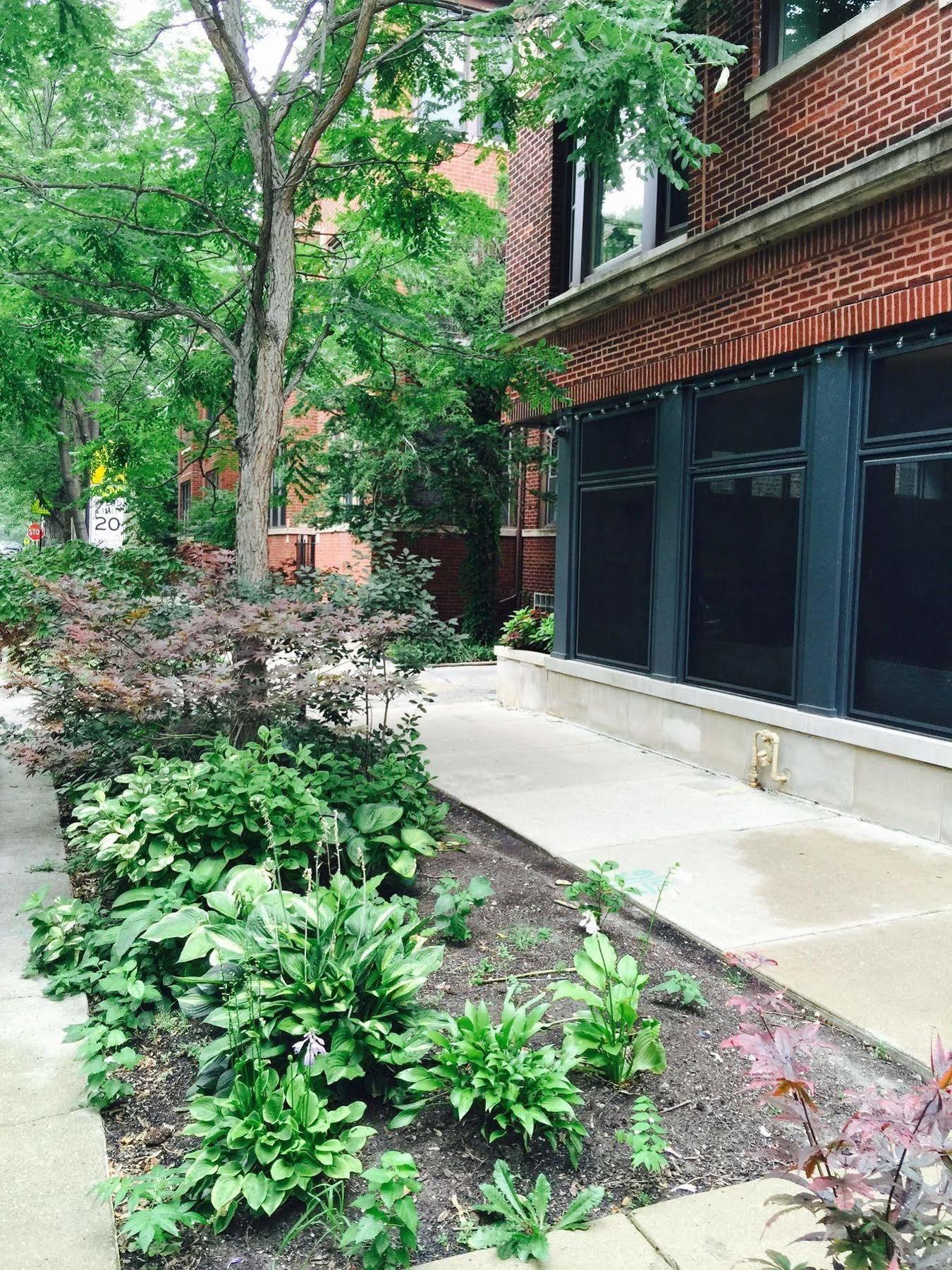 House 5863- Chicago'S Premier Bed And Breakfast Экстерьер фото